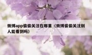 微博app偷偷关注在哪里（微博偷偷关注别人能看到吗）