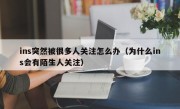 ins突然被很多人关注怎么办（为什么ins会有陌生人关注）