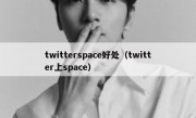 twitterspace好处（twitter上space）