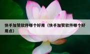快手加赞软件哪个好用（快手加赞软件哪个好用点）