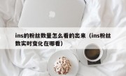 ins的粉丝数量怎么看的出来（ins粉丝数实时变化在哪看）