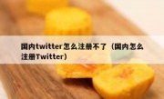 国内twitter怎么注册不了（国内怎么注册Twitter）