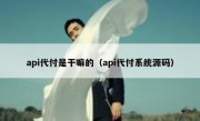 api代付是干嘛的（api代付系统源码）
