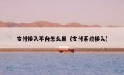 支付接入平台怎么用（支付系统接入）