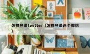 怎样登录twitter（怎样登录两个微信）
