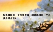 服务器租用一个月多少钱（服务器租用一个月多少钱合适）