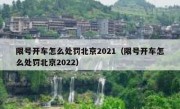 限号开车怎么处罚北京2021（限号开车怎么处罚北京2022）