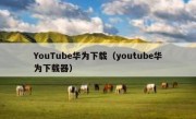 YouTube华为下载（youtube华为下载器）