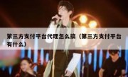 第三方支付平台代理怎么搞（第三方支付平台有什么）