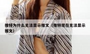 推特为什么无法显示推文（推特现在无法显示推文）