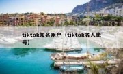 tiktok知名用户（tiktok名人账号）