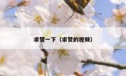 求赞一下（求赞的视频）