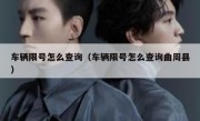 车辆限号怎么查询（车辆限号怎么查询曲周县）