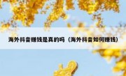 海外抖音赚钱是真的吗（海外抖音如何赚钱）
