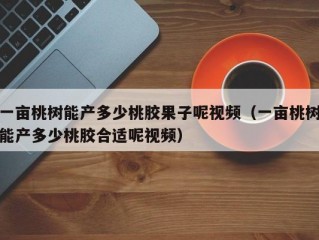 一亩桃树能产多少桃胶果子呢视频（一亩桃树能产多少桃胶合适呢视频）