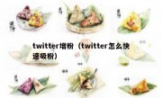twitter增粉（twitter怎么快速吸粉）