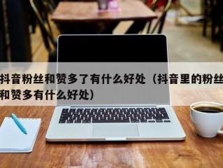 抖音粉丝和赞多了有什么好处（抖音里的粉丝和赞多有什么好处）