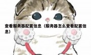 查看服务器配置信息（服务器怎么查看配置信息）