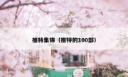 推特集锦（推特的100部）