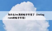 为什么ins发的帖子不见了（instagram的帖子不见）