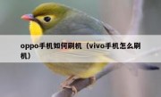oppo手机如何刷机（vivo手机怎么刷机）