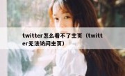 twitter怎么看不了主页（twitter无法访问主页）