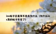 ins帖子总是发不出去为什么（为什么ins发的帖子不见了）