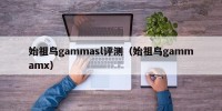 始祖鸟gammasl评测（始祖鸟gammamx）