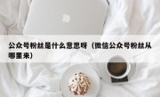 公众号粉丝是什么意思呀（微信公众号粉丝从哪里来）
