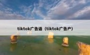 tiktok广告语（tiktok广告户）