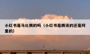 小红书是马化腾的吗（小红书是腾讯的还是阿里的）