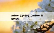 twitter公共账号（twitter账号大全）