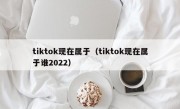 tiktok现在属于（tiktok现在属于谁2022）