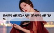 杭州限号被拍到怎么处罚（杭州限号被拍罚多少）