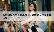 玩转极品人生正版小说（玩转极品人生孓无我小说）