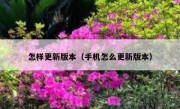 怎样更新版本（手机怎么更新版本）