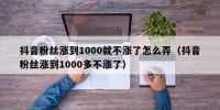 抖音粉丝涨到1000就不涨了怎么弄（抖音粉丝涨到1000多不涨了）