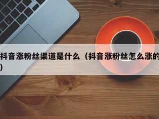 抖音涨粉丝渠道是什么（抖音涨粉丝怎么涨的）