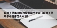 自助下单dy超低价企业助手十二（自助下单助手小程序怎么申请）
