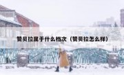 赞贝拉属于什么档次（赞贝拉怎么样）
