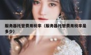 服务器托管费用税率（服务器托管费用税率是多少）