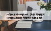 如何利用好deepseek（如何利用好河北地区红色资源和传承好红色基因）