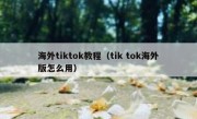 海外tiktok教程（tik tok海外版怎么用）