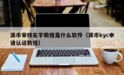 派币审核名字教程是什么软件（派币kyc申请认证教程）