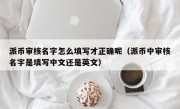 派币审核名字怎么填写才正确呢（派币中审核名字是填写中文还是英文）