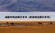 成都市明日限行车号（武安明日限行车号）