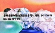 小红书和b站的区别哪个可以赚钱（小红书和bilibili哪个好）