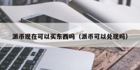 派币现在可以买东西吗（派币可以兑现吗）