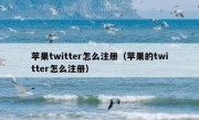 苹果twitter怎么注册（苹果的twitter怎么注册）