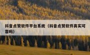 抖音点赞软件平台系统（抖音点赞软件真实可靠吗）